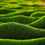 Kaip_suzinoti_apie_s