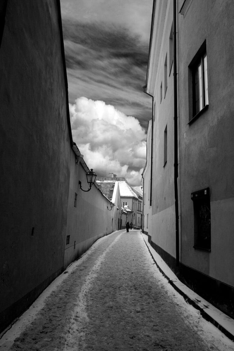 Vilniaus_slapti_kamp